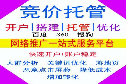 百度竞价排名实战：某行业领先企业的成功之路